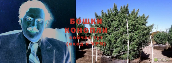 спайс Баксан