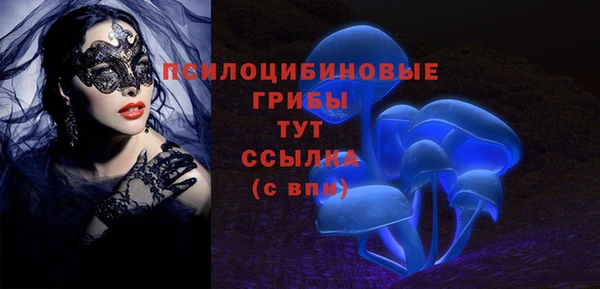 Альфа ПВП Балабаново